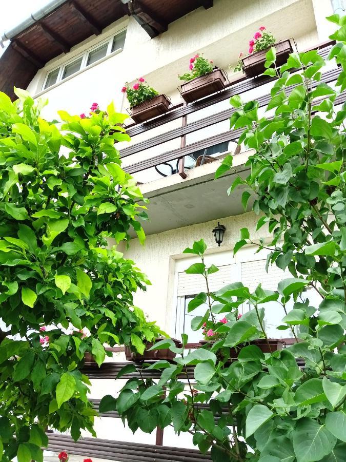 Apartman Kod Dide I Bake Vukovar Exterior foto